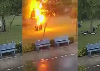 Yağmurdan korunmak isteyen 4 kişinin sığındığı ağaca yıldırım düştü