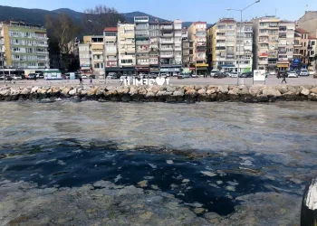 Bursa Gemlik sahilinde plankton patlaması