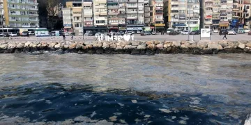 Bursa Gemlik sahilinde plankton patlaması