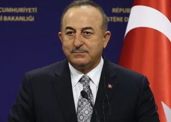 Çavuşoğlu: Thodex’in kurucusunu tanımıyorum