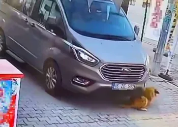 Bursa’da aracıyla köpeği ezip kaçtı