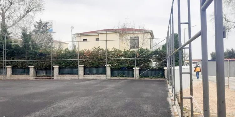Sahanın zemin rengini gençler belirleyecek