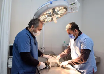 Can dostlar Yıldırım’a emanet