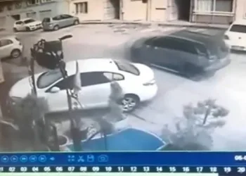 Bursa’da aracıyla, uyuyan köpeğin üzerinden geçti