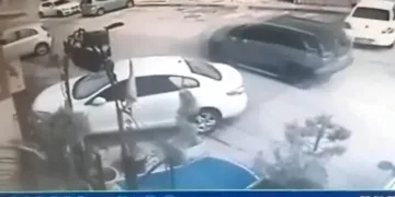 Bursa’da aracıyla, uyuyan köpeğin üzerinden geçti