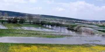 Mudanya’da tarım arazileri sular altında kaldı