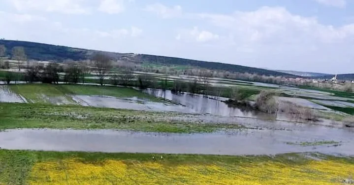 Mudanya’da tarım arazileri sular altında kaldı