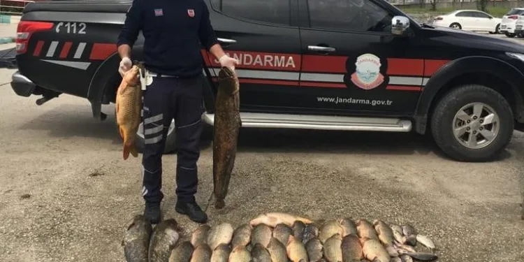 Bursa’da yasak tanımayan kaçak avcılara ceza