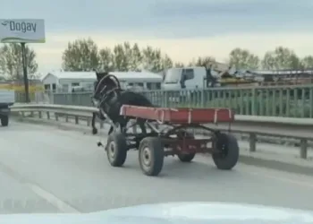 Bursa’da sürücüsüz at arabası trafiği birbirine kattı