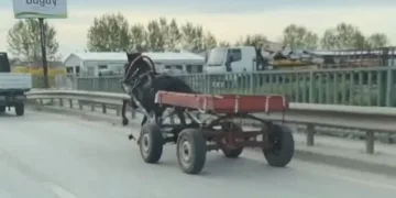 Bursa’da sürücüsüz at arabası trafiği birbirine kattı