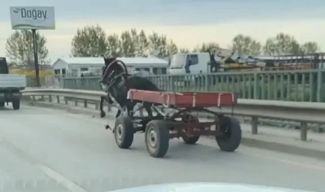 Bursa’da sürücüsüz at arabası trafiği birbirine kattı