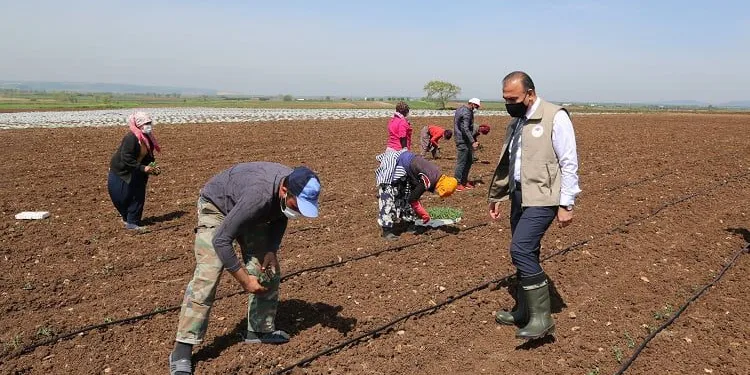 Mevsimlik tarım işçileri Bursa’ya geldi