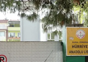 Okul bahçesindeki ağaç katliamını mahalleli önledi