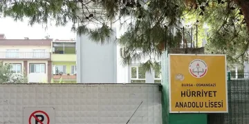 Okul bahçesindeki ağaç katliamını mahalleli önledi