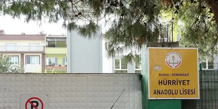 Okul bahçesindeki ağaç katliamını mahalleli önledi