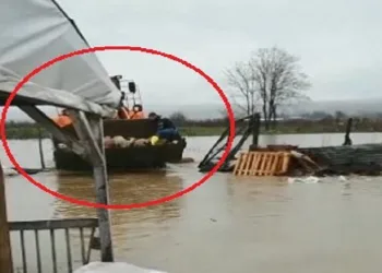 Çiftliği su bastı, kuzular iş makinesiyle kurtarıldı