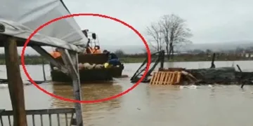 Çiftliği su bastı, kuzular iş makinesiyle kurtarıldı
