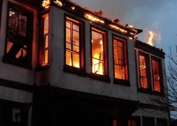 Bursa’da korkutan yangın! Çok sayıda kedi yanarak öldü