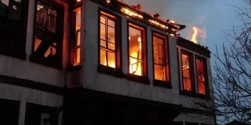 Bursa’da korkutan yangın! Çok sayıda kedi yanarak öldü