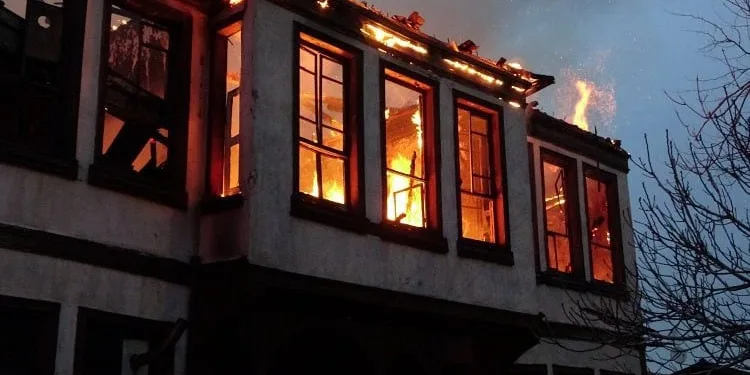 Bursa’da korkutan yangın! Çok sayıda kedi yanarak öldü