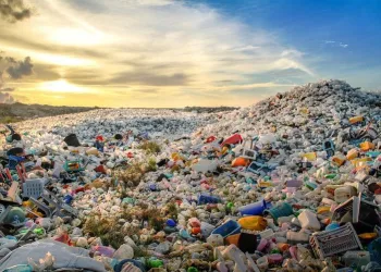 Türkiye Avrupa’nın en büyük plastik atık çöplüğü haline geldi