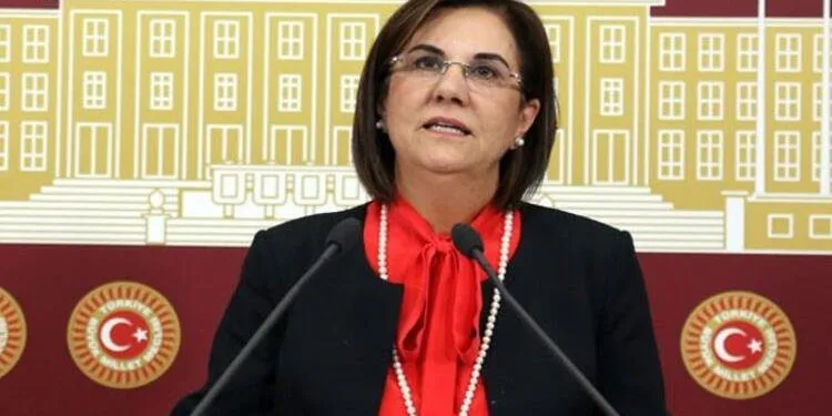 CHP’li Gaye Usluer, partisinden istifa etti