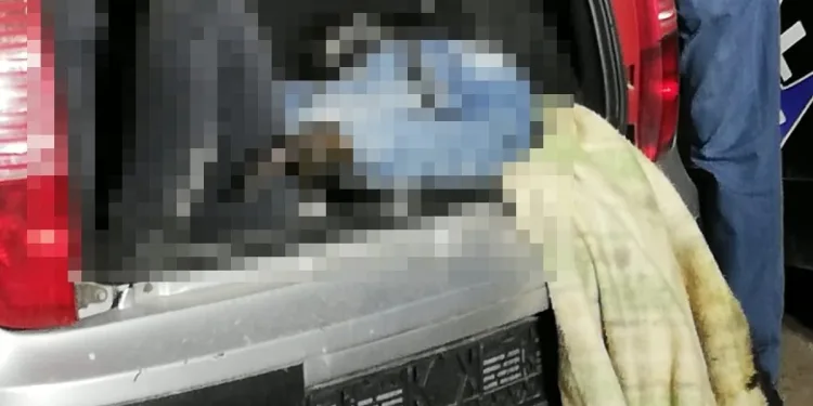 Bursa’da bagajda çürümüş cesedi bulunmuştu! Cinayeti itiraf etti