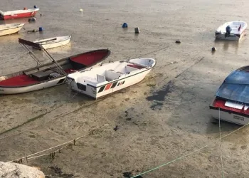 Bursa’da tedirgin eden görüntü! Balık ölümleri başladı