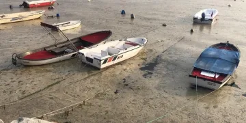 Bursa’da tedirgin eden görüntü! Balık ölümleri başladı