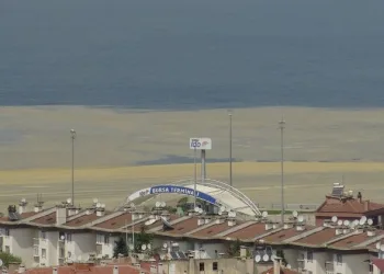 Bursa Mudanya sahili deniz salyasıyla kaplandı