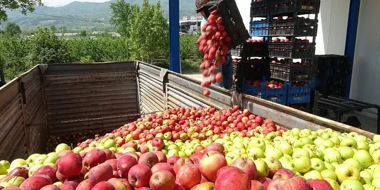 Bursa’da tonlarca meyve soğuk hava depolarında kaldı