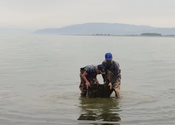İznik Gölü’ndeki kayıp şehir efsanesi gerçek oluyor