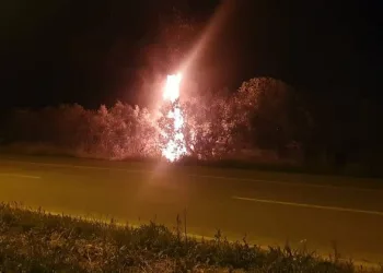 Bursa’da odun yüklü kamyonet alev topuna döndü
