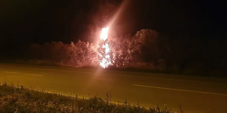 Bursa’da odun yüklü kamyonet alev topuna döndü