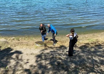 Bursa’da balıkçılar bulmuştu! Bölge koruma altına alınacak