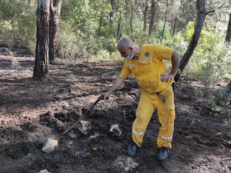 Bursa'da kısıtlamada mangal keyfi ormanı yaktı