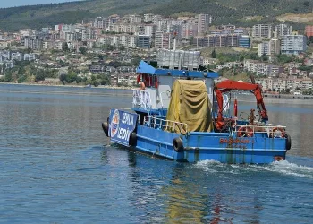 Gemlik Körfezi müsilajlardan temizleniyor