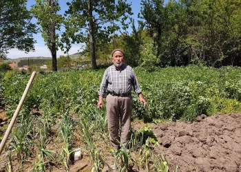 Bursa’da yüzlerce çiftçi tebligat gelmeden icralık oldu