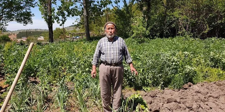 Bursa’da yüzlerce çiftçi tebligat gelmeden icralık oldu