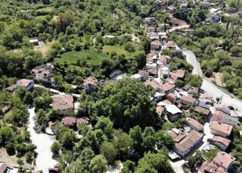Bursa’da 600 yıllık çınar ziyaretçilerini bekliyor