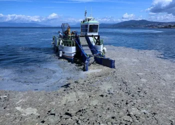 Bursa sahillerinde deniz salyası operasyonu