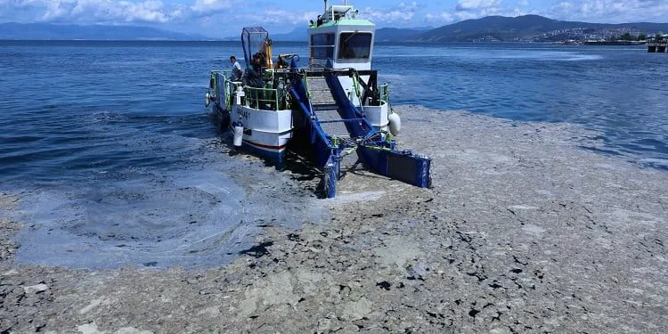 Bursa sahillerinde deniz salyası operasyonu