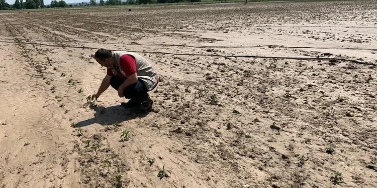 Karacabey’de hasar tespit çalışmaları başladı