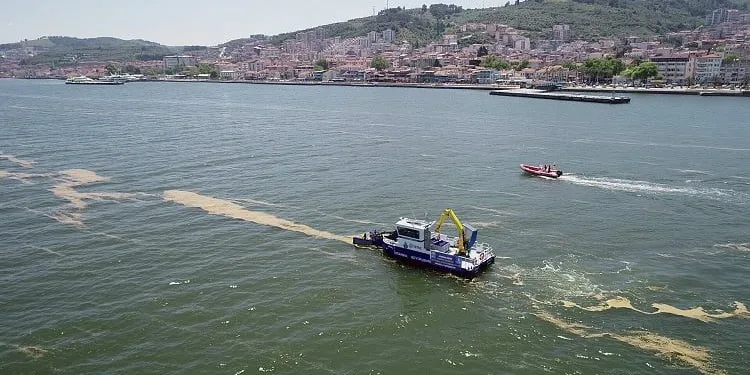 Mudanya’da deniz salyası temizliği başladı