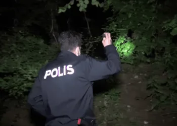 Bursa’da mahallede ayı alarmı