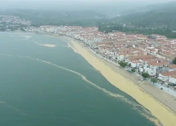 Gemlik Körfezi deniz salyası istilasında