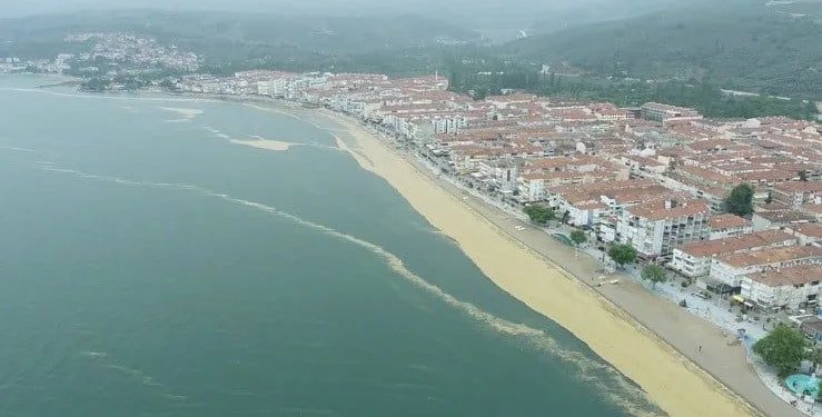 Gemlik Körfezi deniz salyası istilasında