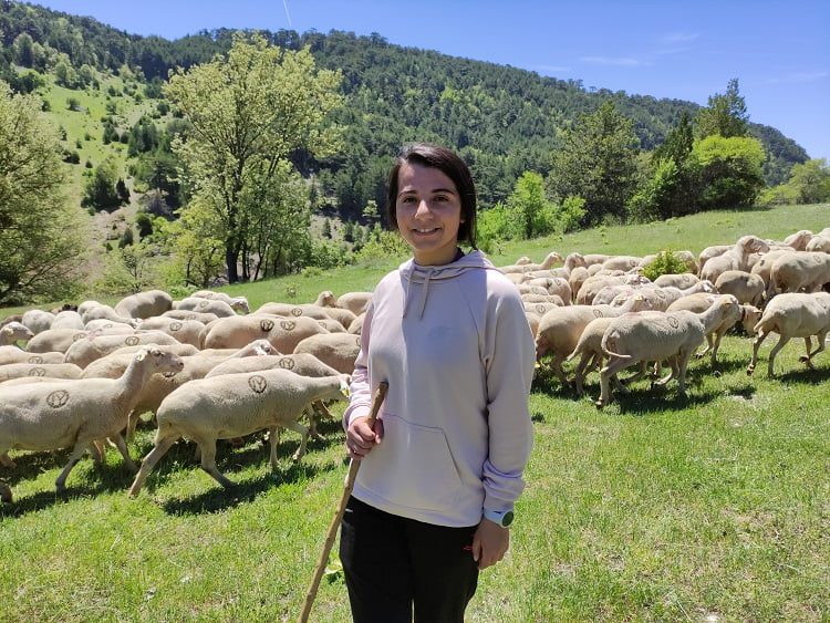 Bursa'da koyunlarını otlatarak Avrupa Şampiyonası'na hazırlanıyor