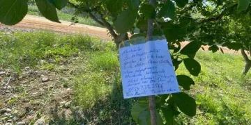 Erik ağacının dalına not bıraktı: Borcum varsa iban atın