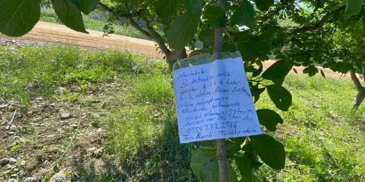 Erik ağacının dalına not bıraktı: Borcum varsa iban atın